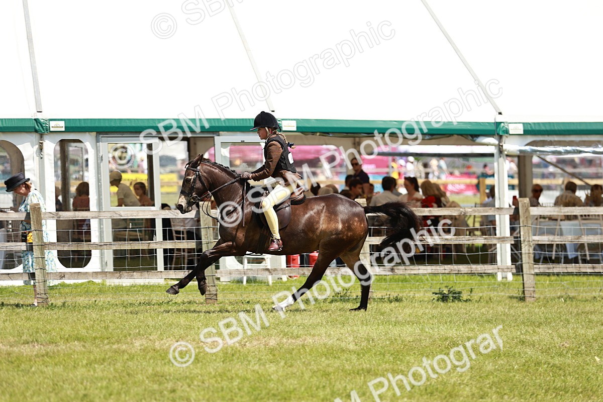 SBM_15801 - Class 108-109 - BSPS LIHS Open Gradle & Nursery Stakes