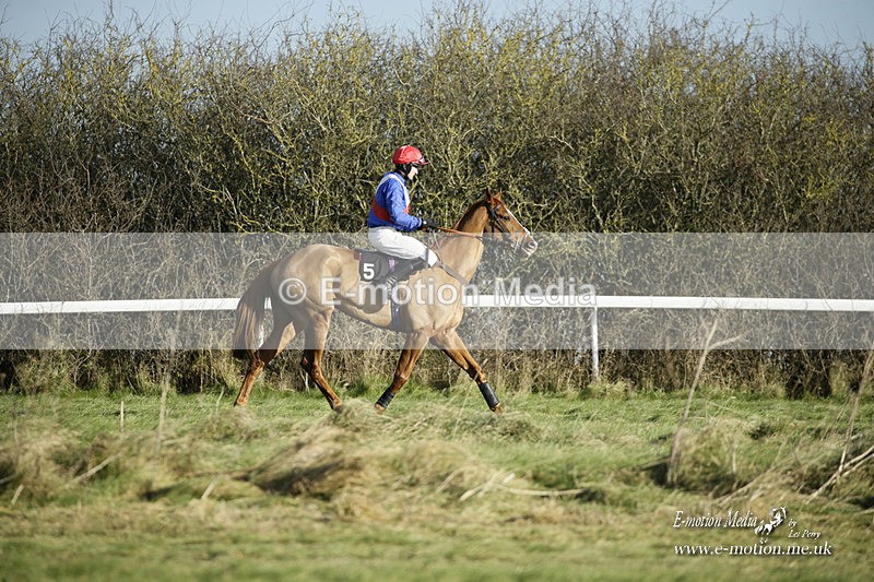 PtP 281121 059 - Hursley Hambledon Point-to-Point Larkhill 28/11/21