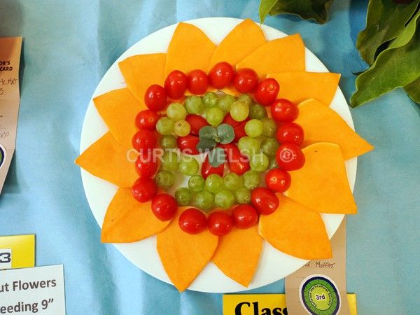 selected68 - EARLSTON FLOWER SHOW. 2025