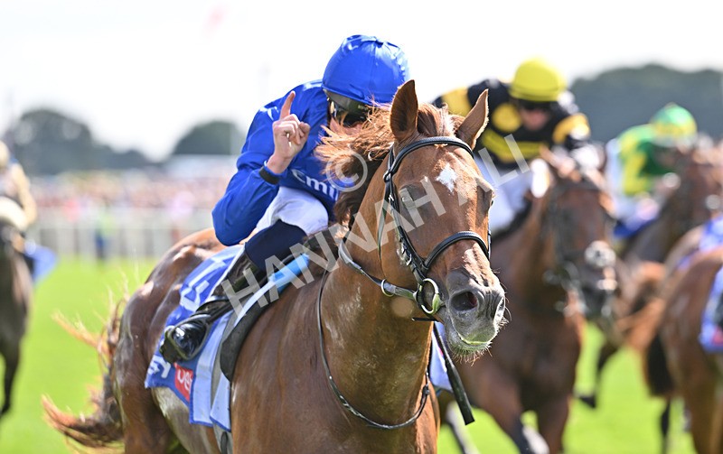 220826-081 Notable Speech - Race 3 15.00pm Sky Bet City Of York Stakes