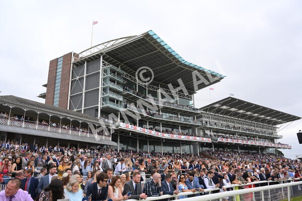 yr24072021r1-65 - Race 1 2.05pm Sky Bet Jump Jockeys Nunthorpe