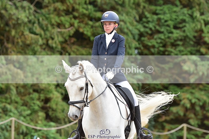 250719A-153426-06886 - 024-Neve.Moran-Clareville.Golden.Knight