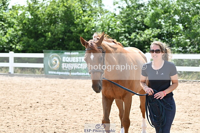 240717A-150022-02425 - Trot Up 3pm to 4pm