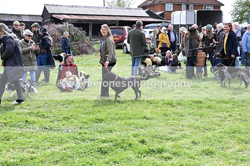 WJ6_8272 - Class 4 Prettiest Bitch