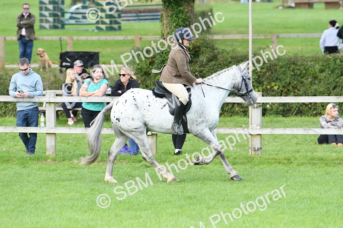 SBM_47186 - S12 - Family Horse & Pony