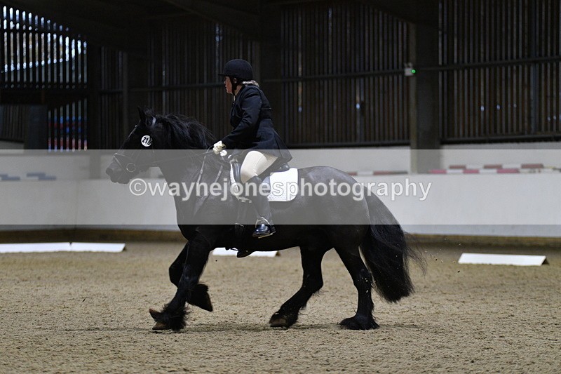 WJ5_8538 - Class 5 Novice Test 3