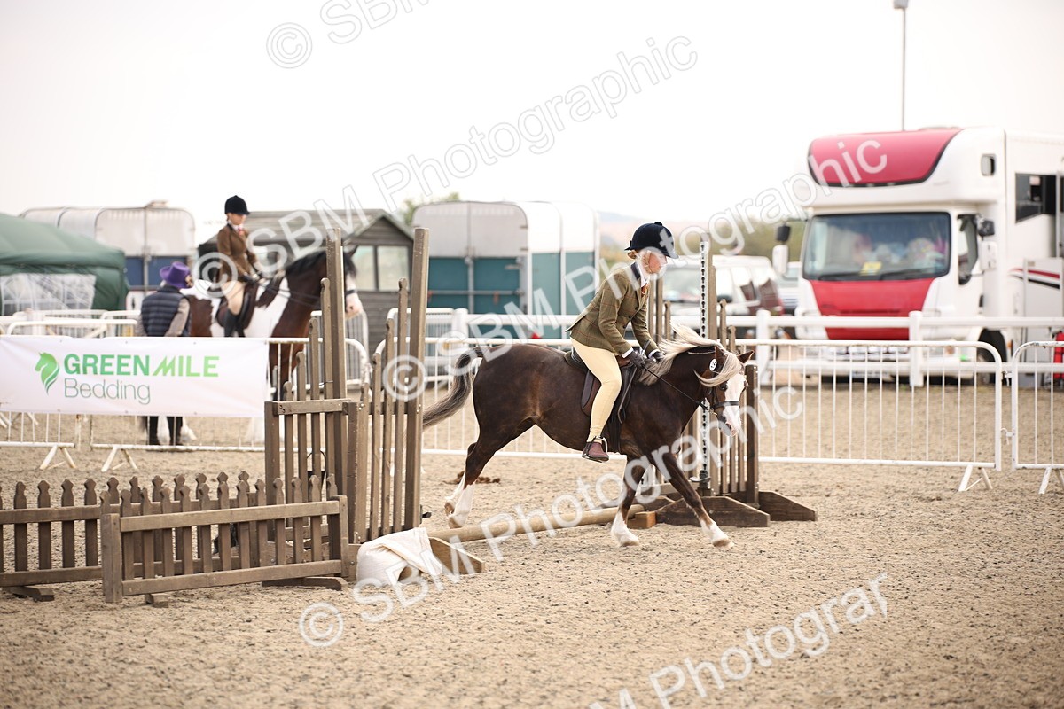 SBM_11687 - Class 404b Junior Working Veteran- 40cm(20+)