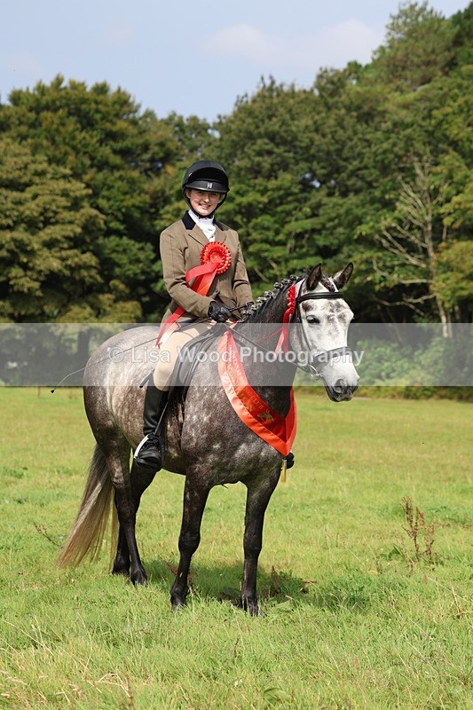 3E7A6150 - Working Hunter Championship