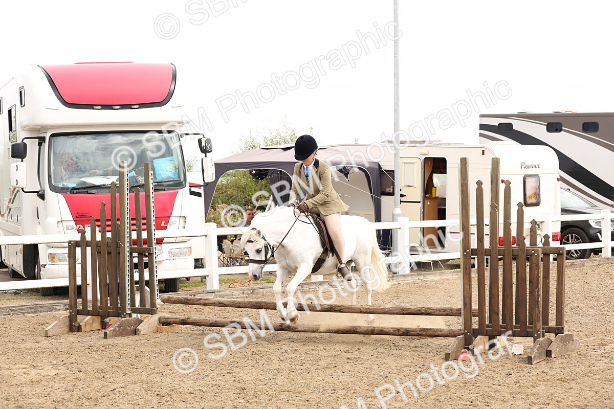 SBM_05185 - Class 56b -  Style & Performance - 50cm (20+)