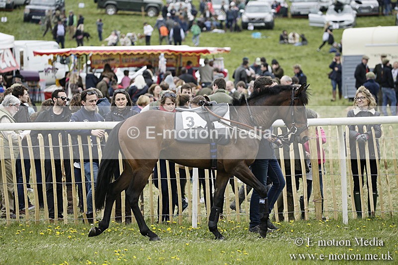 PtP 170417 464 - Old Berks Point-to-Point Lockinge 17/04/17