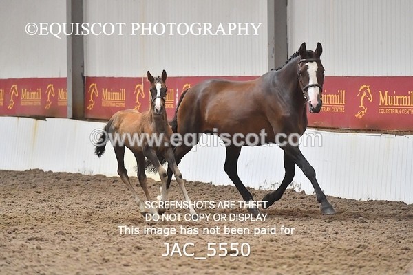 JAC_5550 - 13 Zi Real McCoy