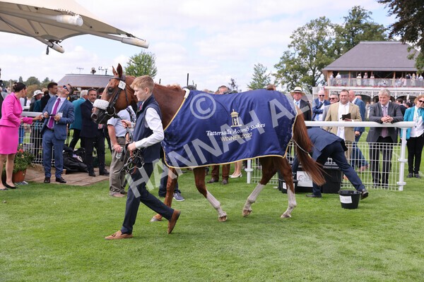 yr17082022r2-44 - Race 2 2.25pm Tattersalls Acomb Stakes