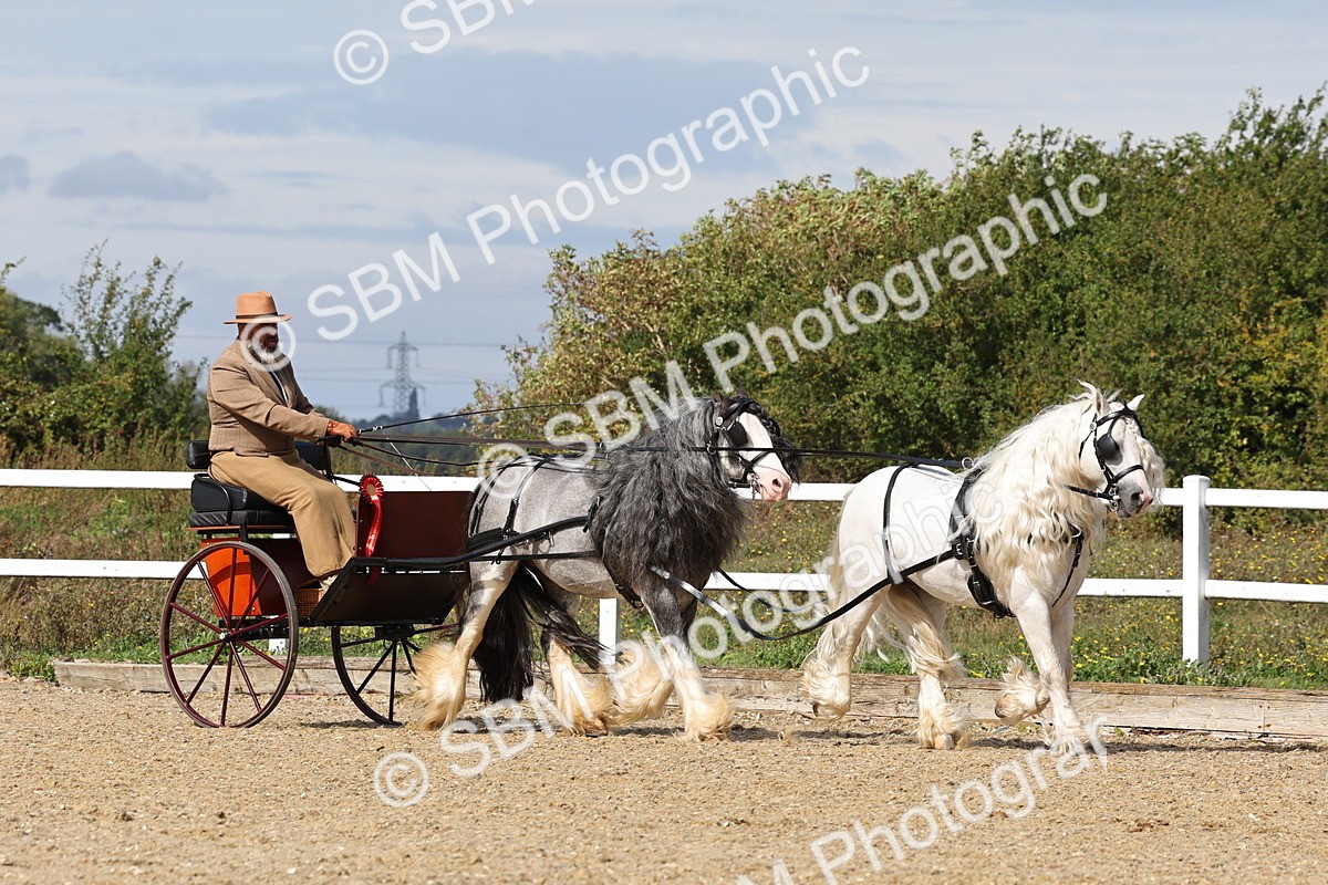 SBM_001263 - Class 16 - Pairs ,Multiples and Tandems