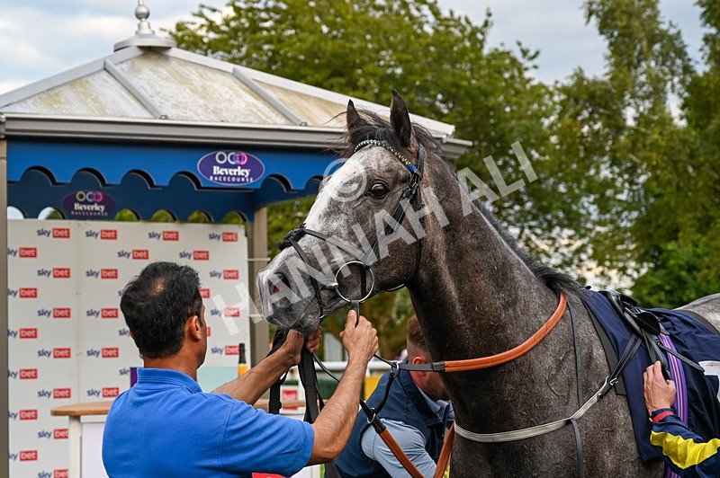 220724-Race 3-Gressington-5233 - Race 3