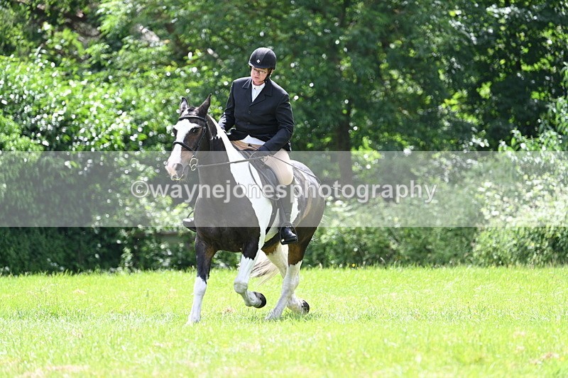 WJ7_2669 - Class 12A Coloured Class