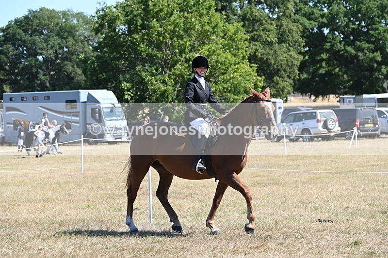 WJ6_8334 - Class 37a Best Loan Pony Ridden