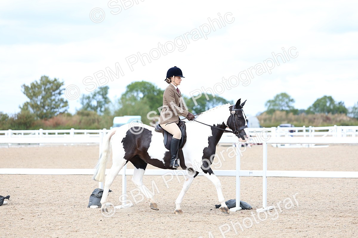 SBM_15772 - Class 314 - Family Horse - Pony