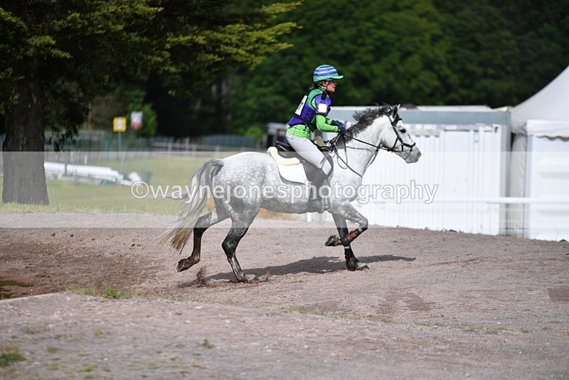 WJ5_6121 - Time 09:38 to 09:57