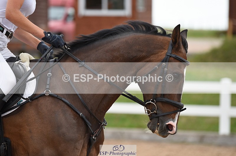 230628A-151858-00893 - Cls 5 Foxhunter & 1.20m Open