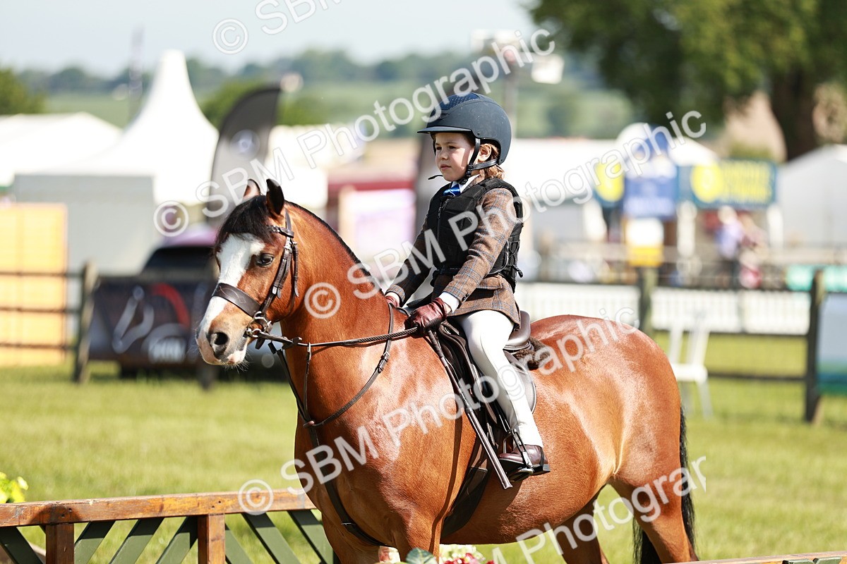 SBM_12736 - Class 106-107 - BSPS LIHS Working Sports Pony