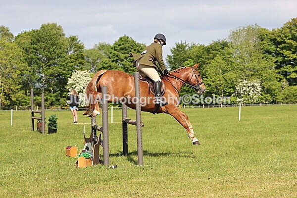 IMG_4880 - Working Hunter