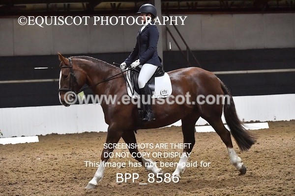 BPP_8586 - NOVICE 4 BD