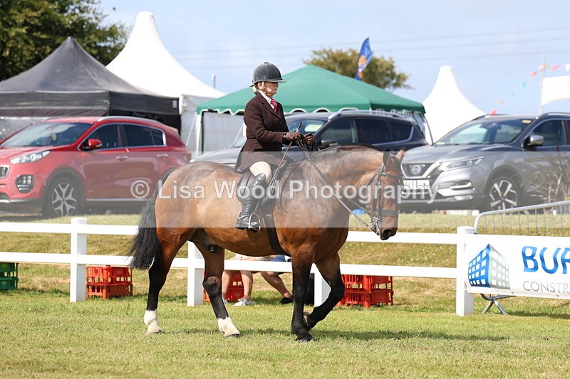 3E7A9638 - Class 5: Rising Star Lightweight/Heavyweight Cobs