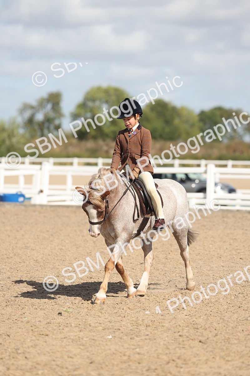 SBM_23122 - Class 806 - Young Rider 10ry and Under