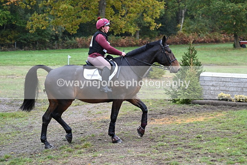 WJ7_3353 - Time 11:13 to 11:32