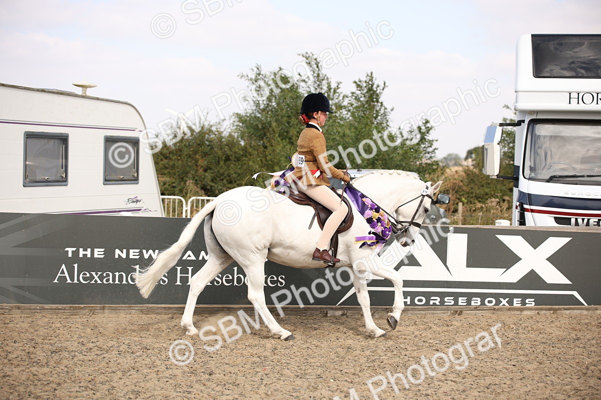 SBM_15081 - Class 408a - Working Veteran 70cm (15-19