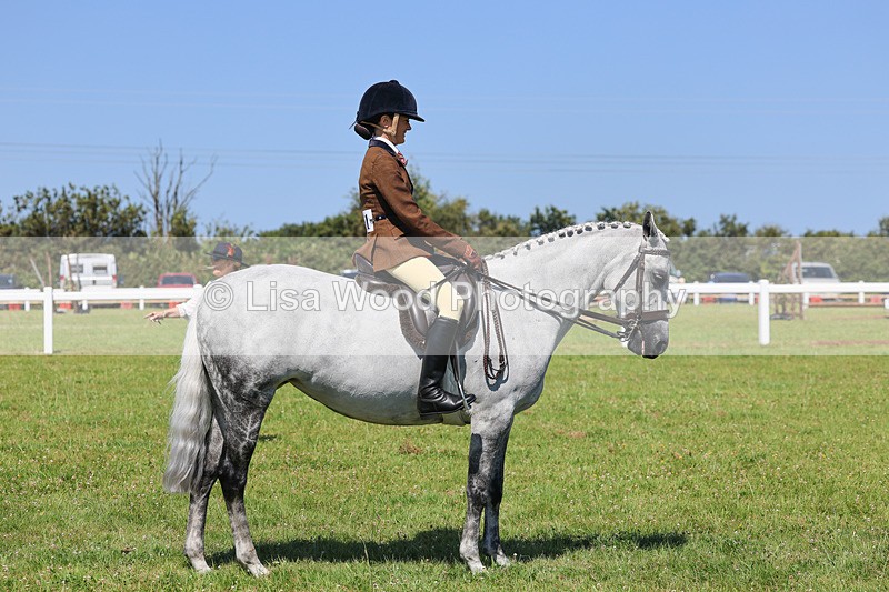 IMG_2175 - Class 36: Part Bred Ridden M & M