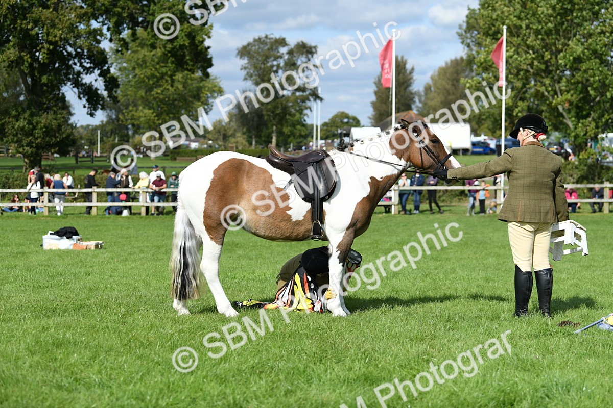 SBM_47134 - S12 - Family Horse & Pony