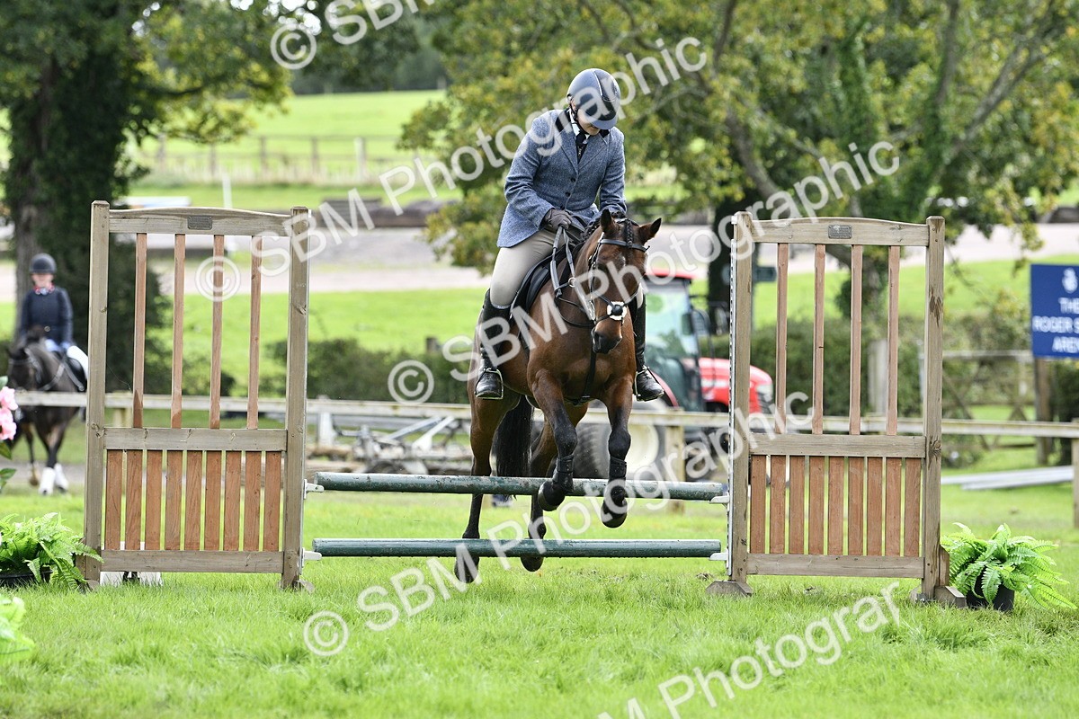 SBM_45622 - S33 - Working Hunter Pony