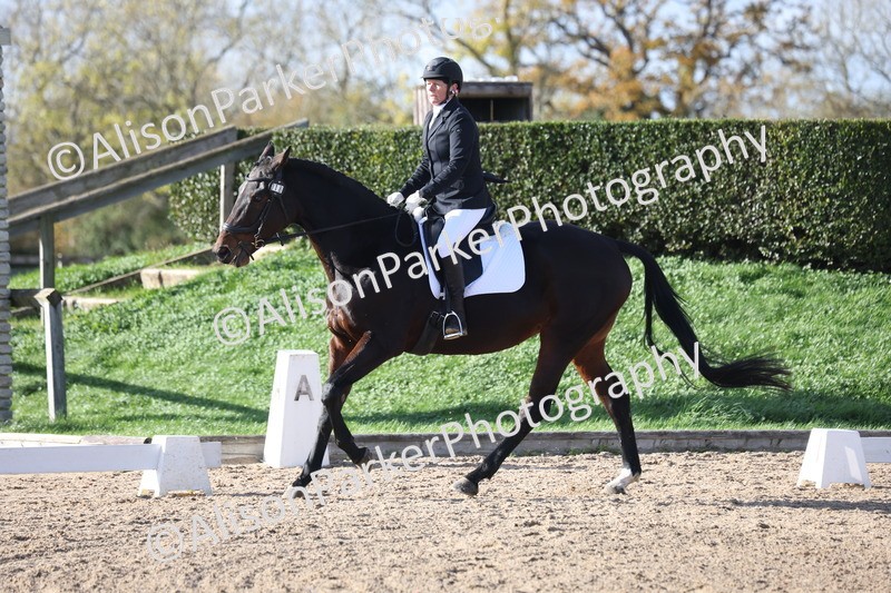 20251101-0604 - Class 4 - Novice 2