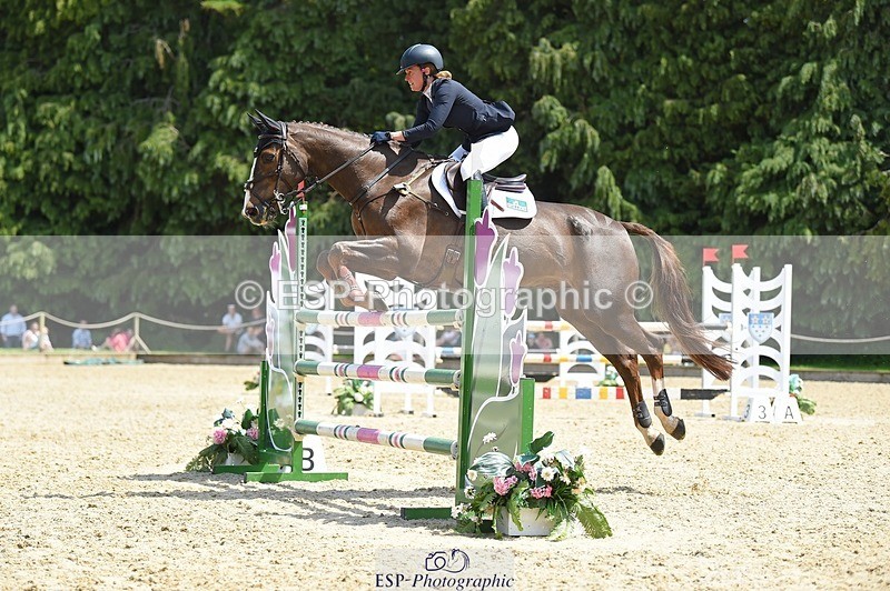 230528-120248-15503 - 376-DIRECT_BALLYTARSNA_DUCAREL-Jodie_Amos-SUNTrotUp+SJ