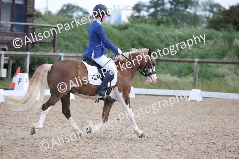 20250614-1328 - Class 6 - Elementary 1