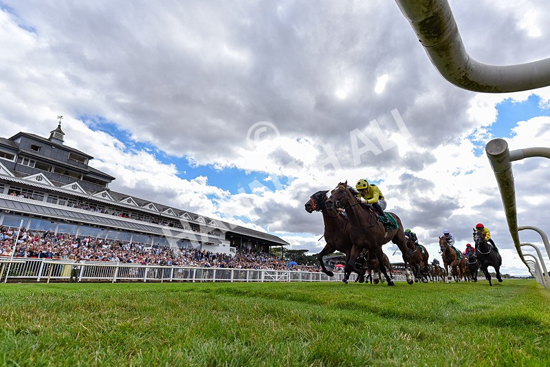 010826-Race 5-Asuka-4642 - Race 5 15.47pm William Hill Epic Boosts Handicap
