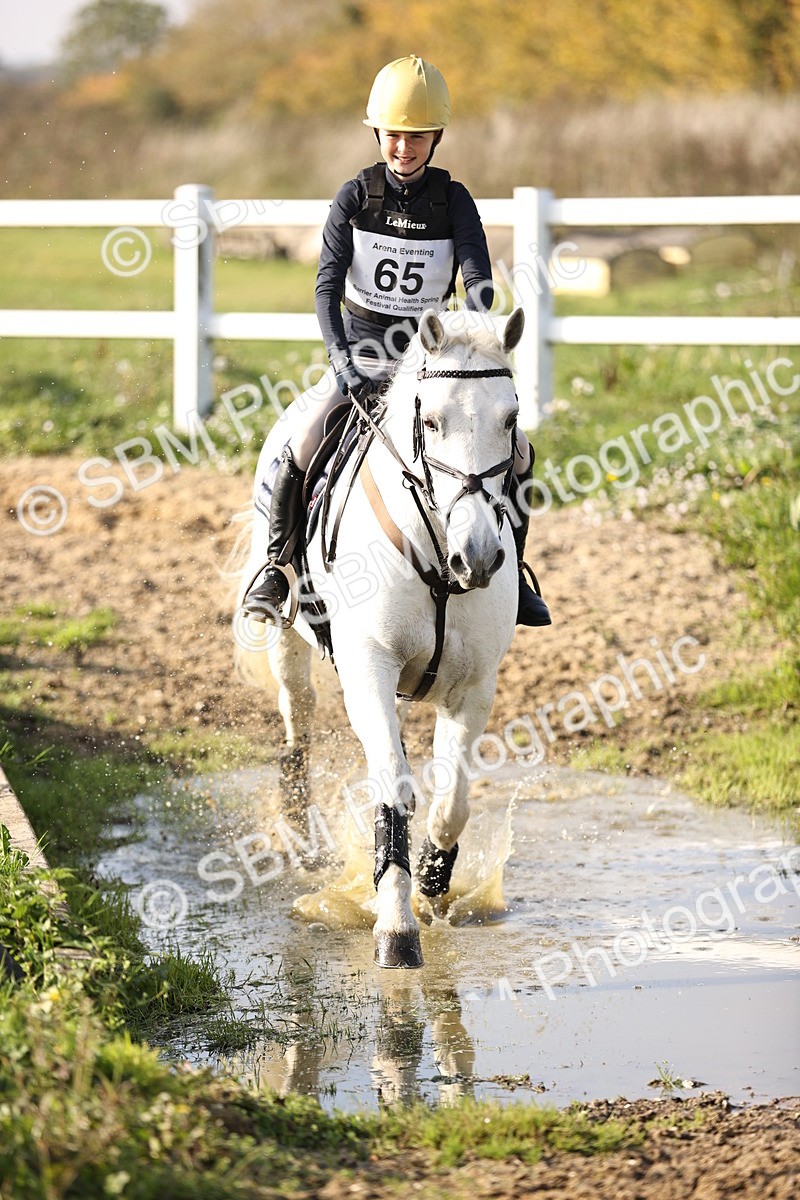 SBM_003640 - Class 3 - 90cm