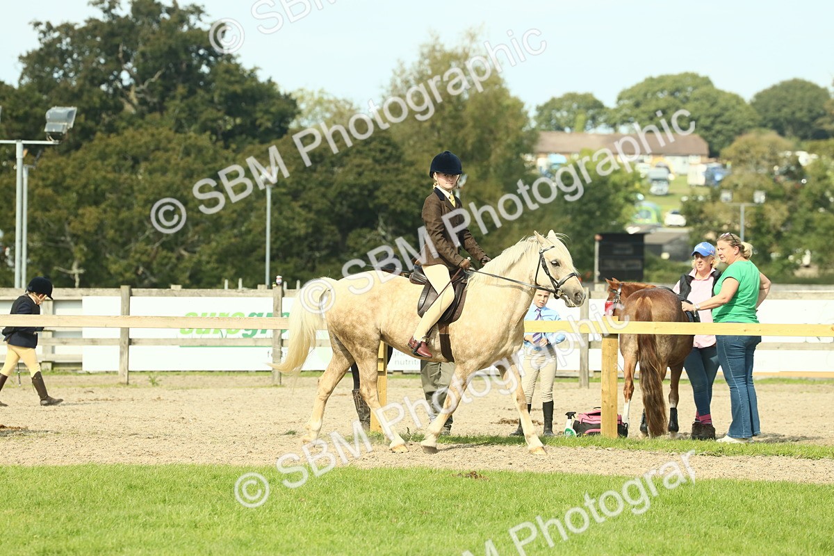 SBM_68831 - S58 - Mini Show Cob Ridden