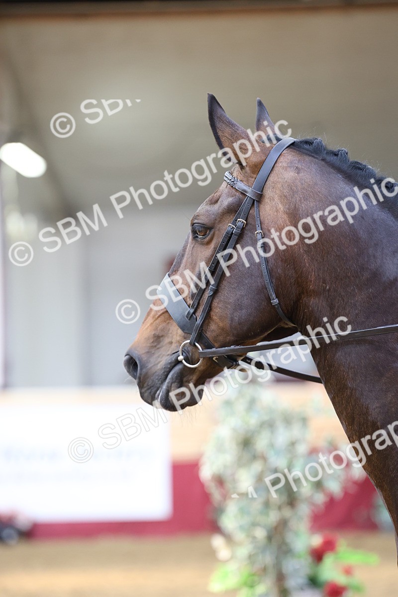 SBM_24151 - Class 905 - Supreme Final - Ridden Veteran