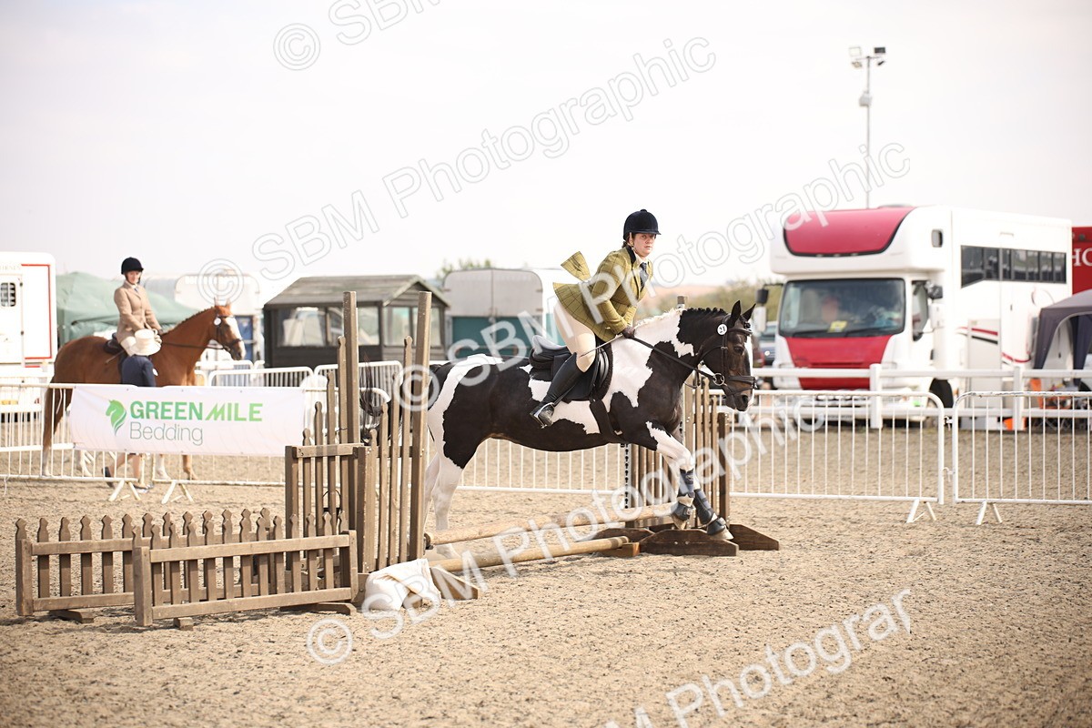 SBM_13602 - Class 406b - Working Veteran 50cm (20+)