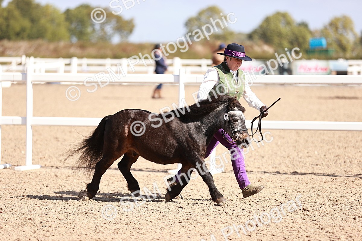 SBM_22769 - Class 705 - IH Combination 65+