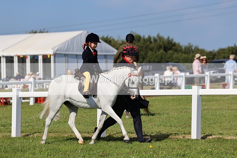 IMG_1719 - Class 31: Lead Rein SP/SHP