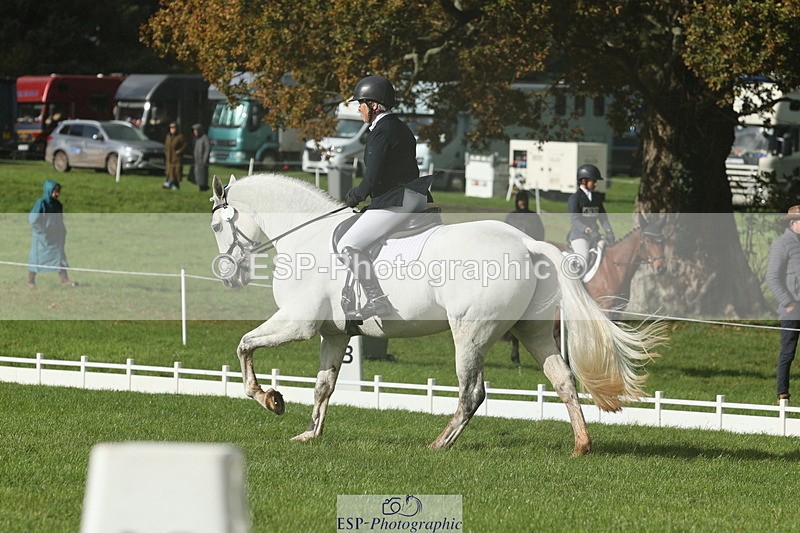 251023A-143834-05002 - G-522-Sue.Parkes Inc Trot Up