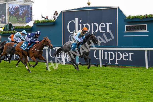 170524-Race 1-Betty Clover-7386 - Race 1 2.15pm Clipper EBF Marygate Fillies' Stakes
