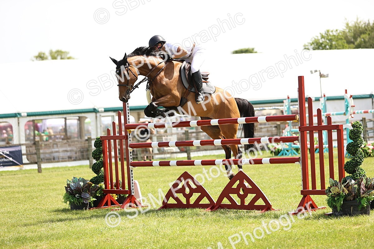 SBM_03955 - Class 201 - British Horse Feedds Speedi Beet HOYS Grade C