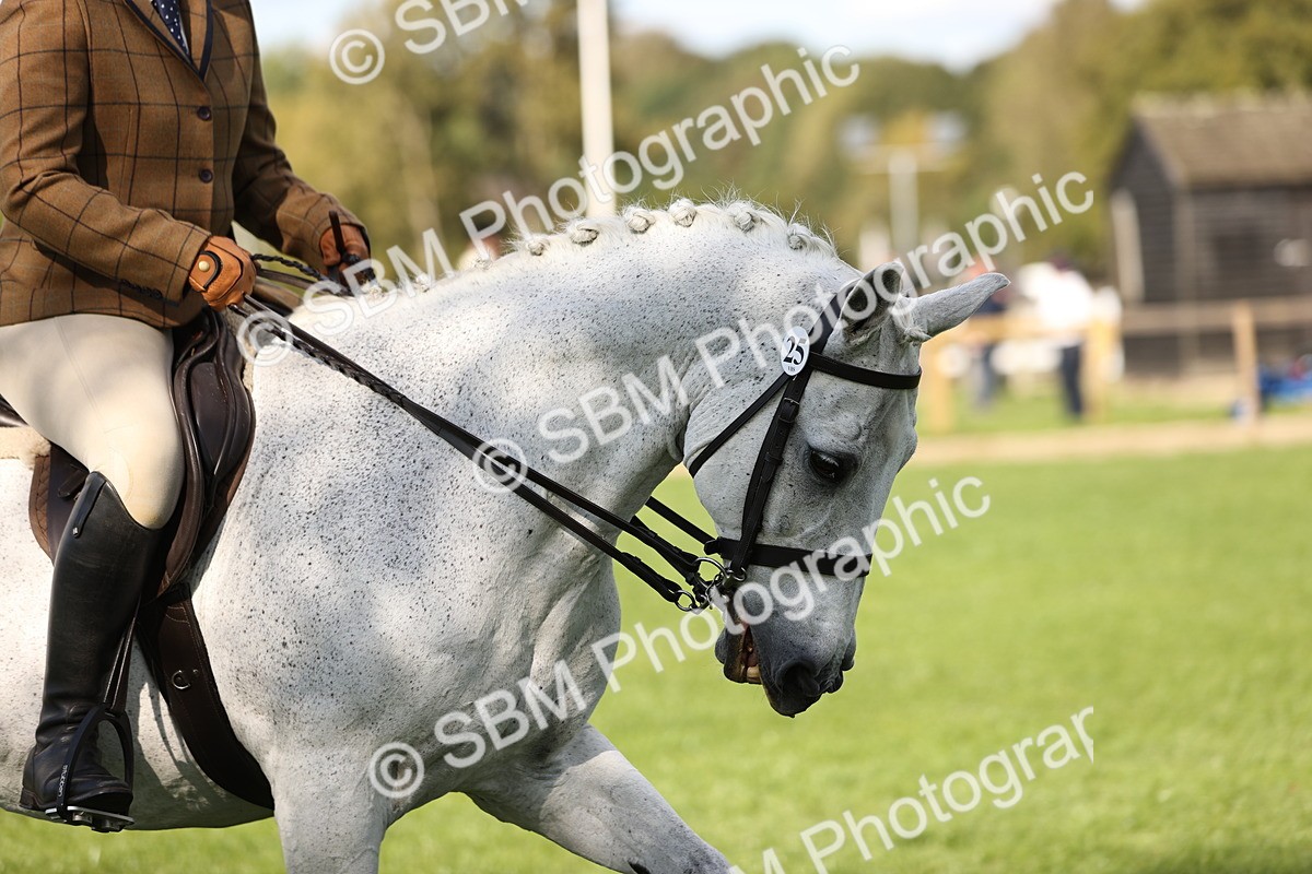 SBM_26374 - S6 - Novice & Newcomers Ridden Horse