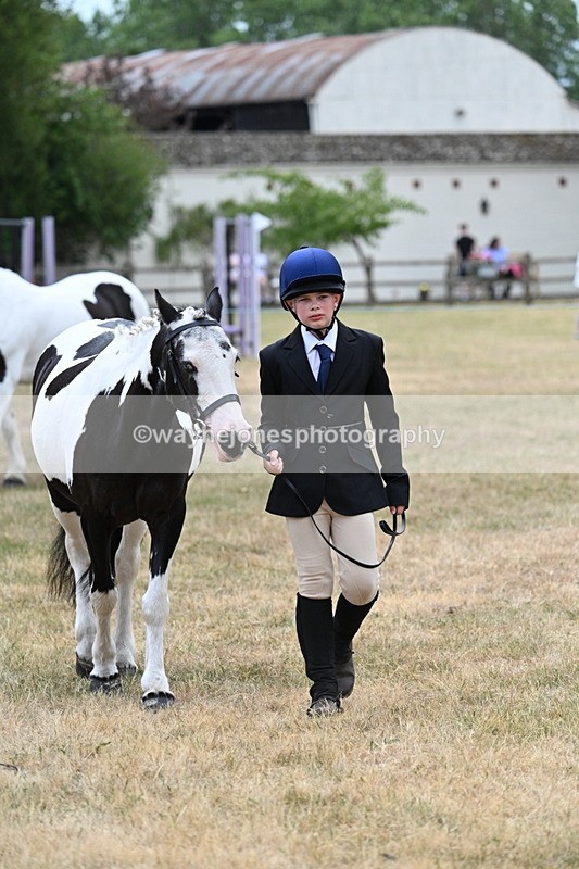 WJ7_1417 - Class 4 Prettiest Mare up to 14.2hh in hand
