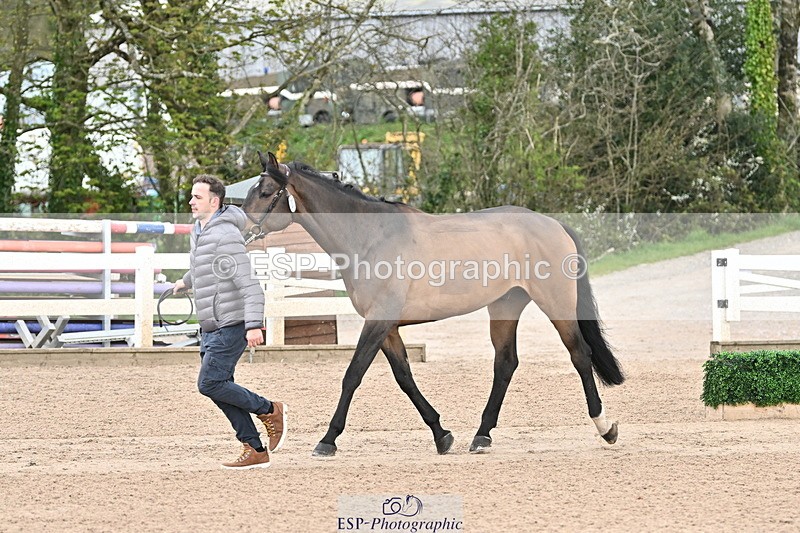 240417A-121954-00092 - 12pm to 1pm