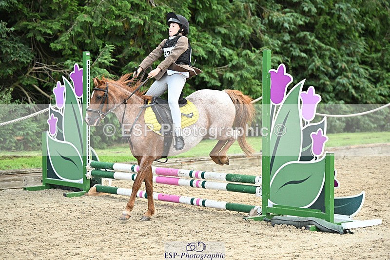 240822X-153139-10845 - 50cm R1 15.00 to 16.00